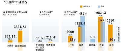 小金库治理情况