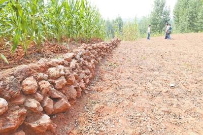 “巨型汝阳龙”挖掘5年重见天日 系世界已知骨架最粗壮、最重恐龙