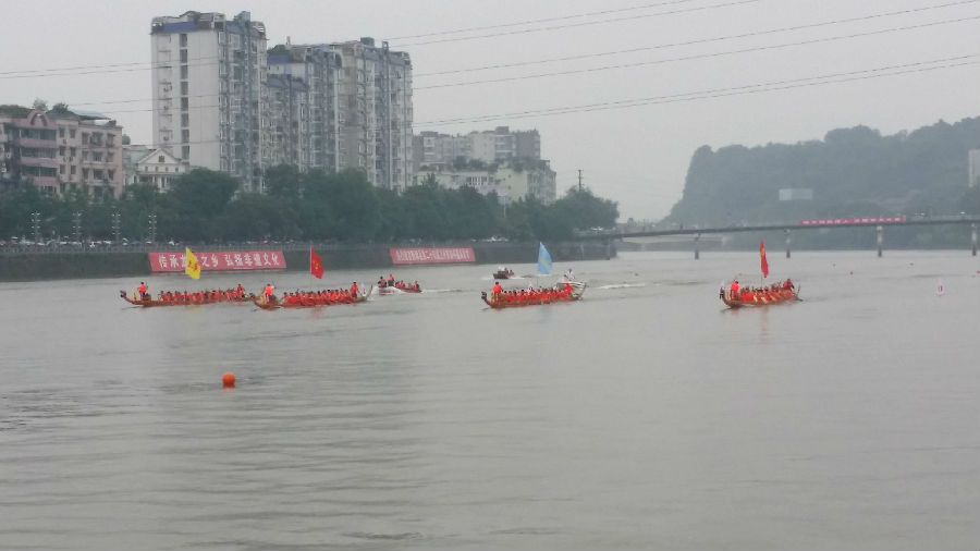 新津：龙舟竞渡迎端午_数万市民冒雨看